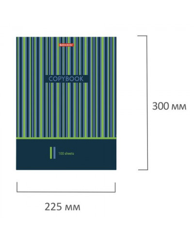 Тетрадь на кольцах А4 Brauberg Полосы 100 листов, клетка 403273