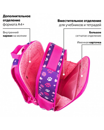 Ранец Brauberg FIT, 2 отделения, Playing kitty, 3D-панель, 38х27х14 см, 270615