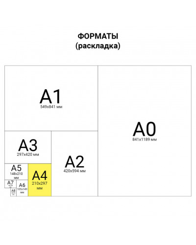 Тетрадь А4 Brauberg Office Pro 80 листов клетка 111048