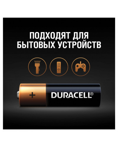 Батарейки алкалиновые Duracell Basic LR06 (AA) 12 шт (450432)