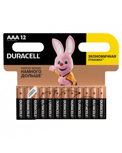 Батарейки алкалиновые Duracell Basic LR03 (AAA) 12 шт (451362)