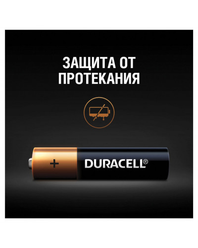 Батарейки алкалиновые Duracell Basic LR03 (AAA) 12 шт (451362)