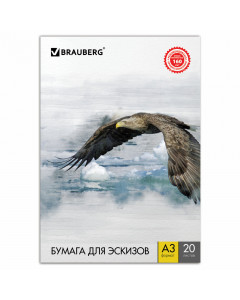 Папка для рисования А3 Brauberg Орел 20 листов, 160 г/м2 125228