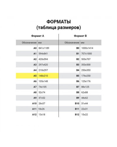 Блокнот А5 Brauberg Insight 96 листов, клетка 113723