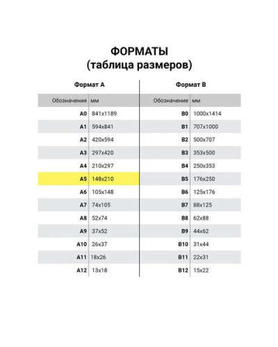 Тетрадь А5 Brauberg Viva 48 листов, клетка 403891