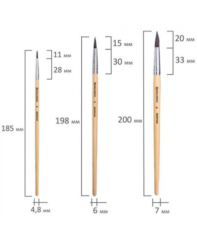 Кисти Brauberg 3 шт (белка, круглые № 2, 4, 6) 200216