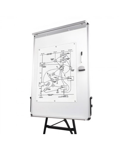 Доска флипчарт магнитно маркерная Brauberg 70х100 см на треноге 231720