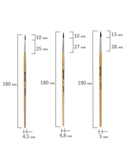 Кисти Brauberg 5 шт (белка, круглые № 1, 2, 3, 4, 5) 200217