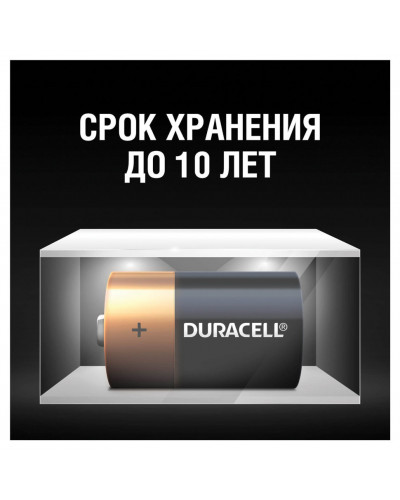 Батарейки алкалиновые Duracell Basic LR20 (D) 2 шт MN1300DLR20 (450401)