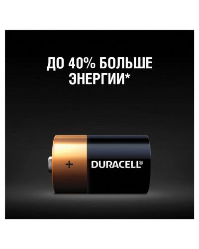 Батарейки алкалиновые Duracell Basic LR20 (D) 2 шт MN1300DLR20 (450401)